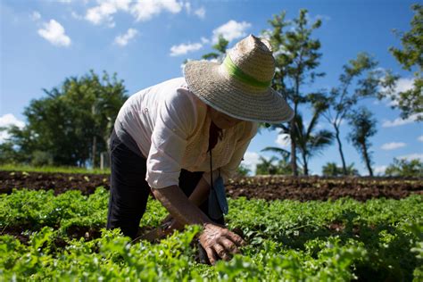 Que es la agroecología Centro de Educación Ambiental de Casa de Campo