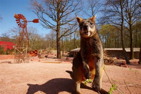 Zoo | Gardens & Recreation | Sightseeing - Visit Hannover