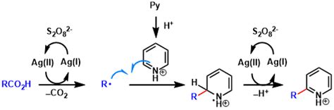 Minisci Reaction Chem Station Int Ed