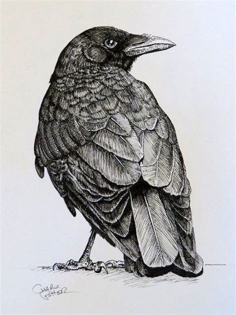 Pin by Marella Troyer on Ravens and Crows | Crows drawing, Ink art ...