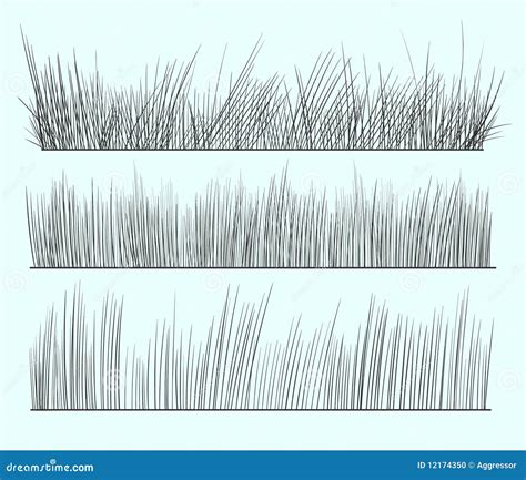 Hand Drawn Grass Stock Vector Illustration Of Collection 12174350