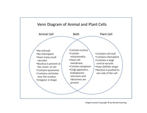 animal cell vs plant cell Venn diagram