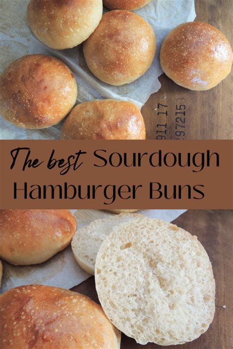 Milk Honey Whole Wheat Hamburger Buns Artofit