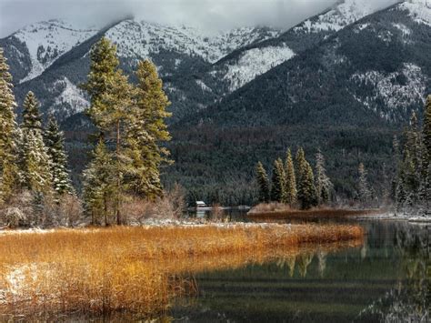 Road Trip From Yellowstone To Glacier National Park