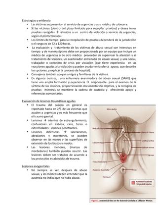 Cuidado Del Paciente Adulto Despu S De Abuso Sexual Pdf