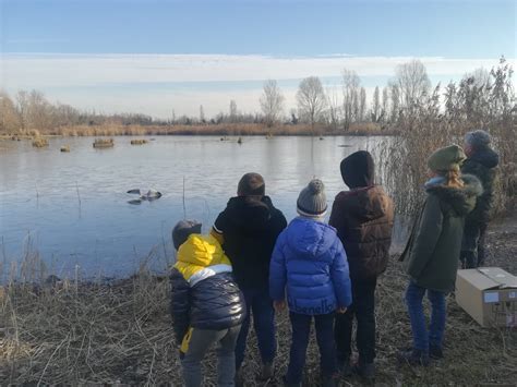 PALEONatale Al Bosco WWF Di Vanzago Tutto Campi Estivi