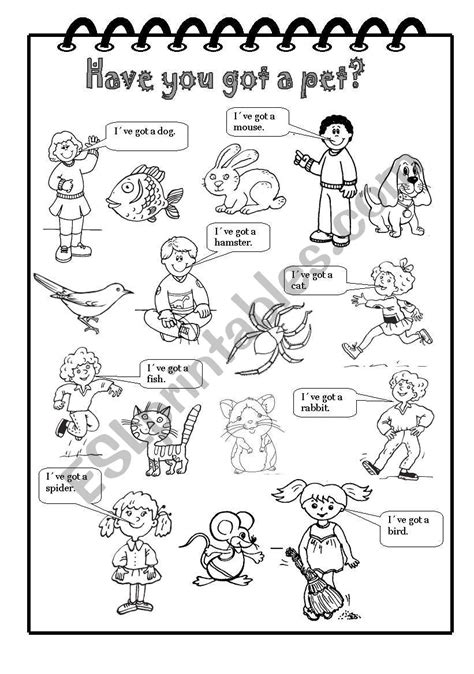 Have You Got A Pet Esl Worksheet By Martinasvabova