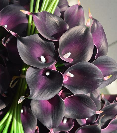 36pcs Real Natural Touch Flowers Dark Purple Calla Lily For Wedding Bouquets Purple Calla