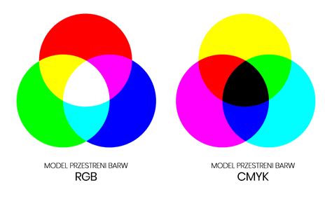 Czym się różni grafika wektorowa od rastrowej AdVIST