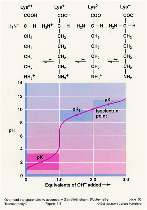 Titration Biochemistry What Is Titration Curve What Is Pka 2022 11 06 ...