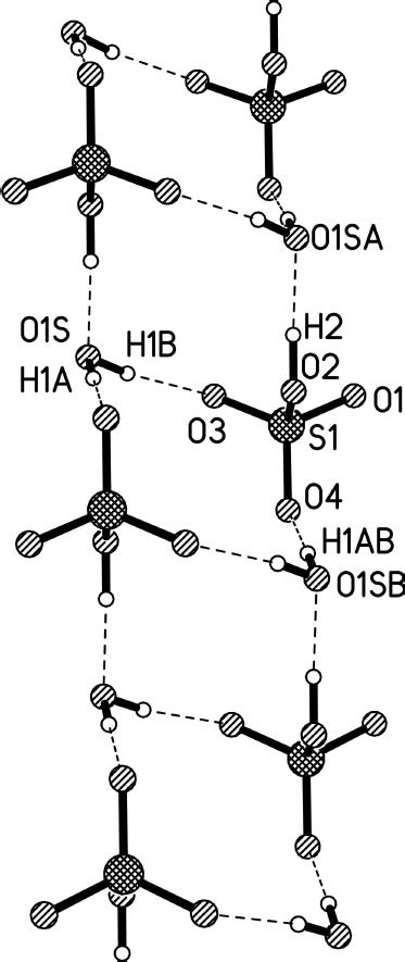 Packing Diagram Showing The Structure Of The Ladder Motif Formed By Download Scientific Diagram