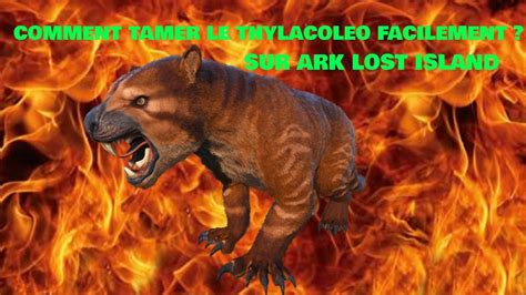 Comment Tamer Le Thylacoleo Facilement Sur Ark Lost Island Youtube