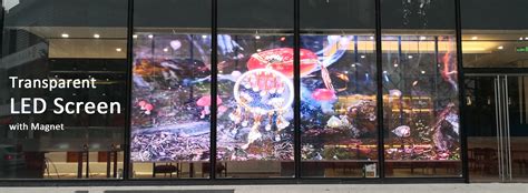 Radiant Led Profesional Led Screen Manufacturer Window Display