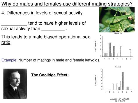PPT Reproduction The Evolution Of Sex And Gender Differences