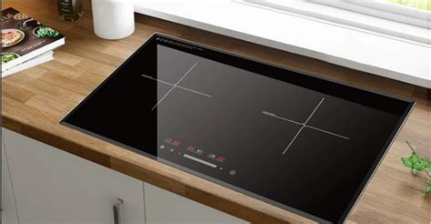 9 Best Double Burner Induction Cooktop For 2024 Storables