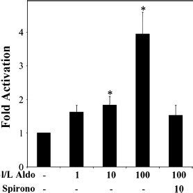 Human Venous Smooth Muscle Cells Exhibit Aldosterone Aldo Induced