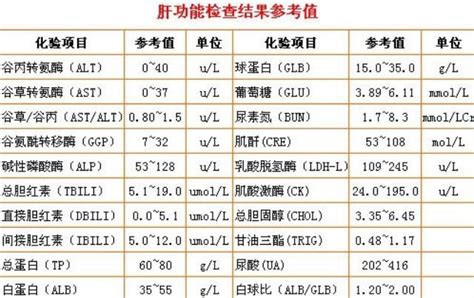 查了肝功能？教你看懂肝功能各项指标 每日头条