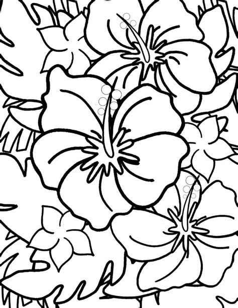 Hawaiian Flower Printable Coloring Pages | Best Flower Site