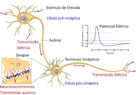 Implante Cerebral Transforma Impulsos Elétricos Em Fala Artificial