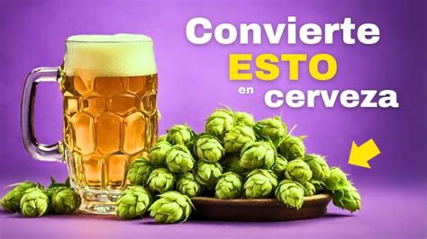 Cómo crear tu propia receta de cerveza en casa guía paso a paso