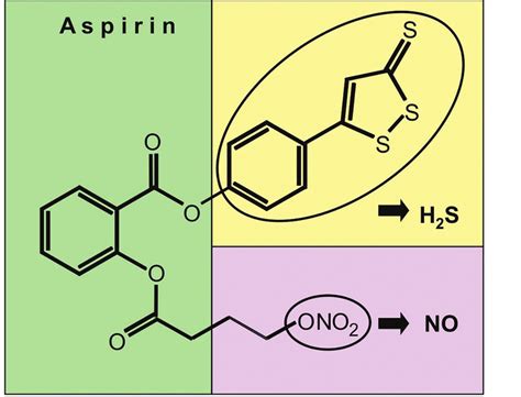 Structural Features Of NOSH Aspirin The Parent Compound Aspirin Is