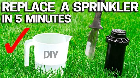 Replace SPRINKLER HEAD In 5 Minutes Rainbird Hunter Orbit YouTube