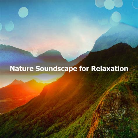 Nature Soundscape For Relaxation Album By Nature And Sounds Backgrounds