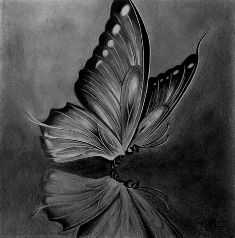 Butterfly | Butterfly drawing, Realistic drawings, Surrealism drawing