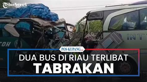 Bus Intra Dan Bus Pmtoh Tabrakan Di Riau Orang Luka Berat Youtube