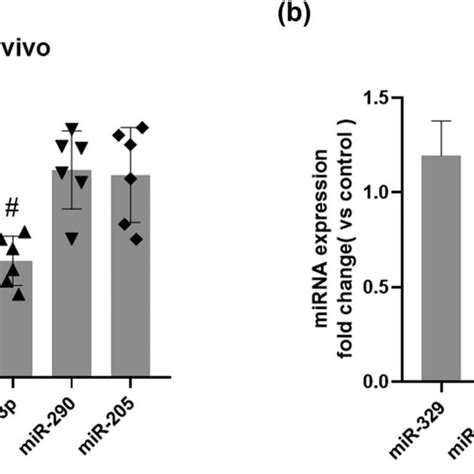 The Expression Level Of Mir P Is Significantly Down Regulated In