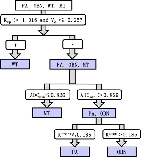 Stepwise Differentiation Of Four Histological Types Of Parotid Tumors