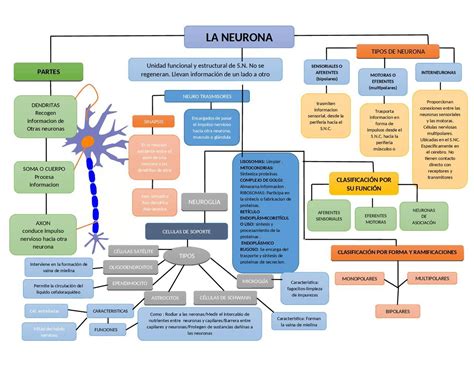 Realizar Un Mapa Conceptual Con Las Principales Caracteristicas De Las