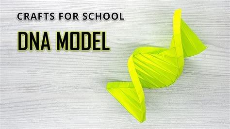 Dna Origami Model Easy Paper Crafts For School Youtube