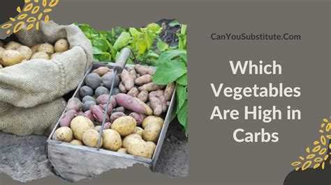 Which Vegetables Are High In Carbs