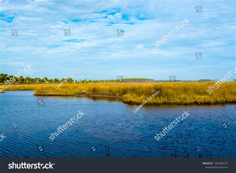 saint marks florida images stock  vectors shutterstock