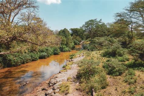 Scenic View of Athi River at Nairobi National Park, Y Stock Photo ...