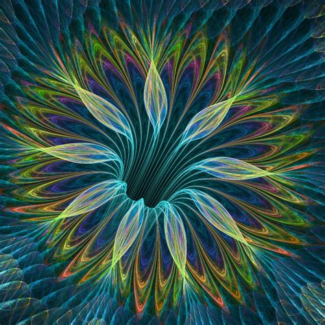 Luminescent Flower Digital Art by Deirdre Reynolds - Pixels