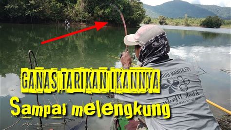 MANCING NILA DI WADUK RIAM KANAN YouTube