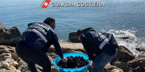 Trovati Con Mille Ricci Di Mare Sul Gargano Sequestro E Multa Salata