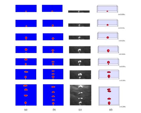 Comparisons Of Experiments And Simulations Of Bubble Formation From An