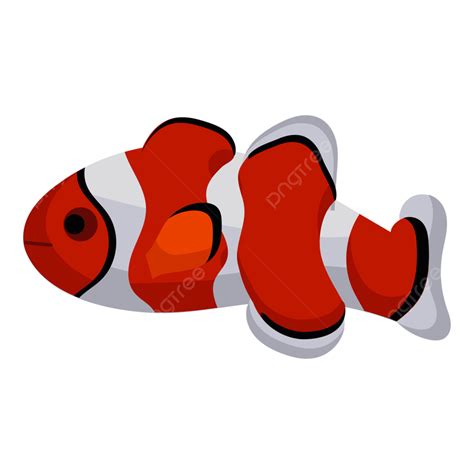 Gambar Ikan Badut Akuarium Air Hewan Alam Dan Vektor Seni Air Bawah Air ...