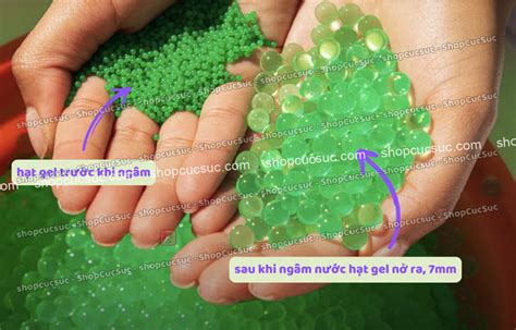 sung  thach la gi phan biet hat  thach gel gun va hat mm bb