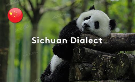 799 Hours Sichuan Dialect Conversational Speech Data By Mobile Phone