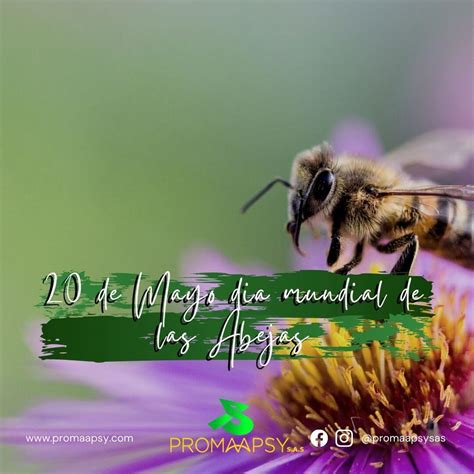 20 De Mayo Dia Mundial De Las Abejas Promaapsy S A S