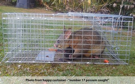 Possum Traps NZ | Humane Possum Traps — Maintrac Group