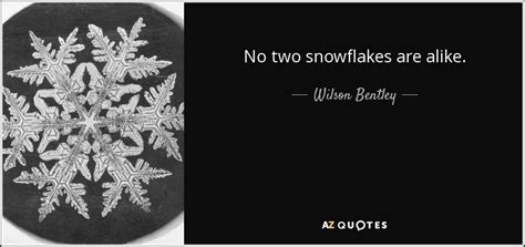 Wilson Bentley Quote No Two Snowflakes Are Alike