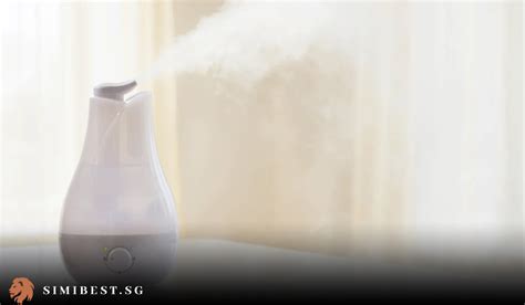 12 Best Humidifiers To Buy In Singapore Best Humidifiers