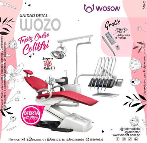 Unidad Dental Wozo Colibri De Cuero Gratis Ultrasonido Con Luz