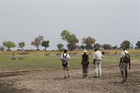 Okavango Delta Safari Explore Wilderness & Wildlife - Safari Ventures