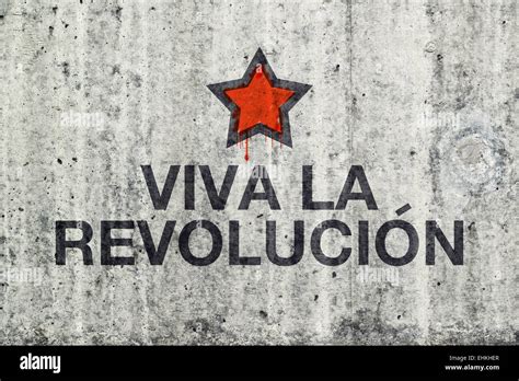 Viva La Revolucion Graffiti on Gray Cement Street Wall, Revolution ...